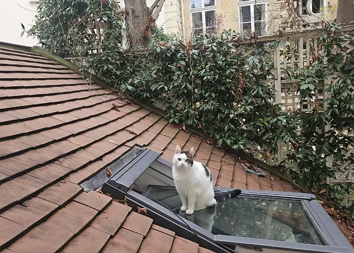 Chez Romeo Bed & Breakfast